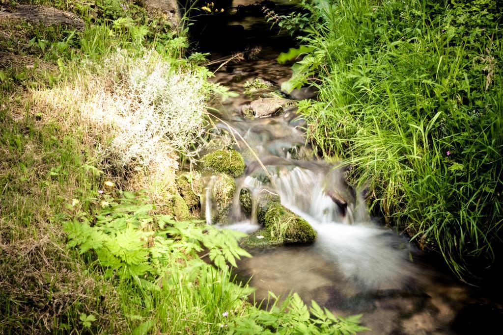 Auberge Du Moulin De Lere Vailly 外观 照片